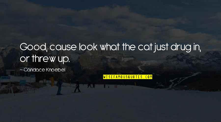 Look Up Good Quotes By Candace Knoebel: Good, cause look what the cat just drug