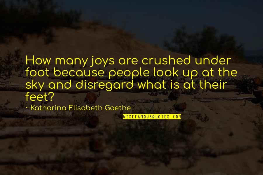 Look Up The Sky Quotes By Katharina Elisabeth Goethe: How many joys are crushed under foot because