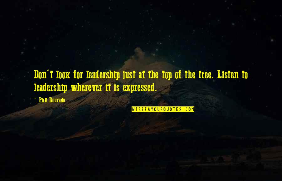 Look Up Tree Quotes By Phil Dourado: Don't look for leadership just at the top Look Up Tree Quotes By Phil Dourado: Don't look for leadership just at the top