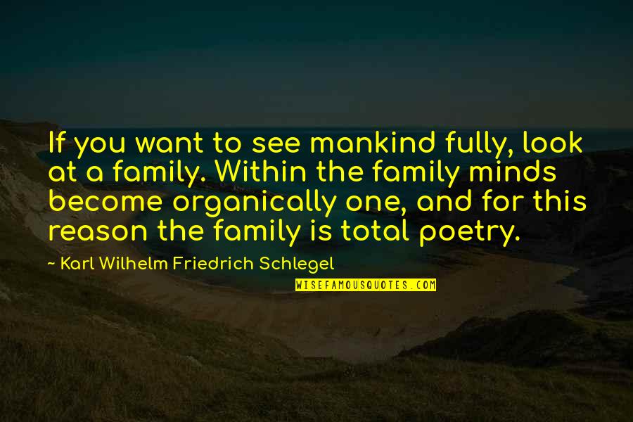 Look Within Quotes By Karl Wilhelm Friedrich Schlegel: If you want to see mankind fully, look
