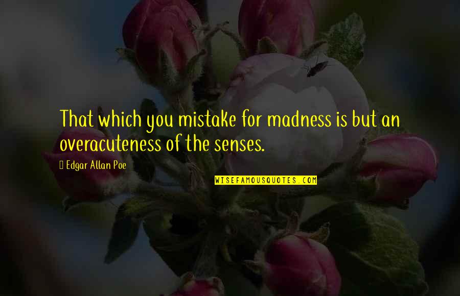 Looking Afar Quotes By Edgar Allan Poe: That which you mistake for madness is but