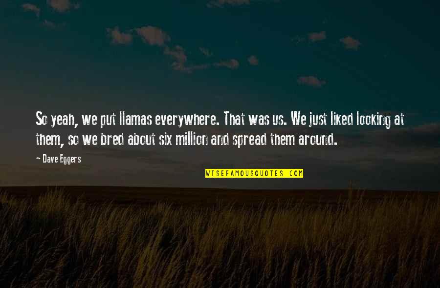 Looking Around Quotes By Dave Eggers: So yeah, we put llamas everywhere. That was Looking Around Quotes By Dave Eggers: So yeah, we put llamas everywhere. That was