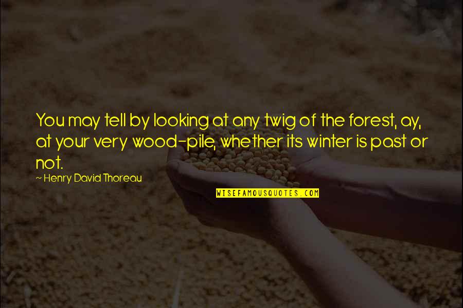 Looking At The Night Sky Quotes By Henry David Thoreau: You may tell by looking at any twig Looking At The Night Sky Quotes By Henry David Thoreau: You may tell by looking at any twig