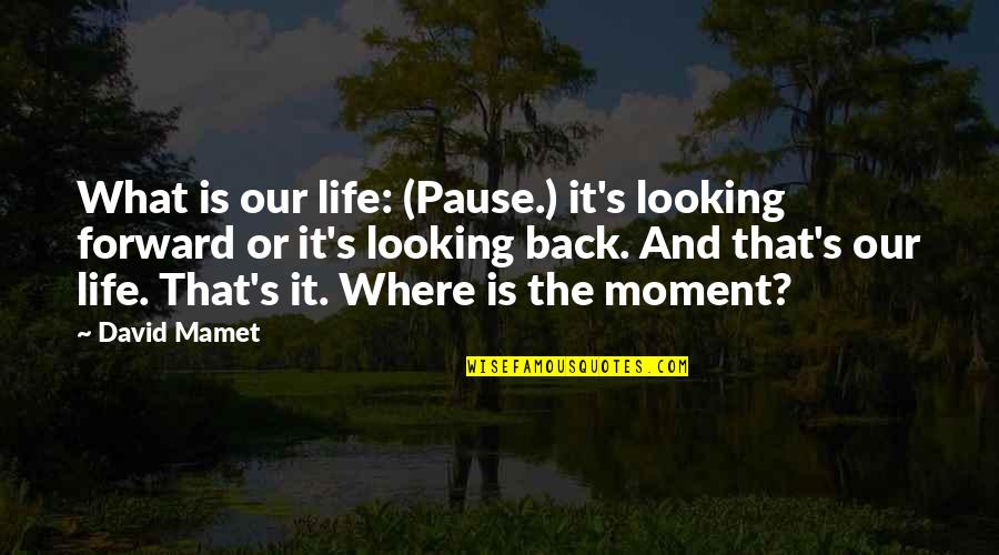 Looking At The Past Quotes By David Mamet: What is our life: (Pause.) it's looking forward