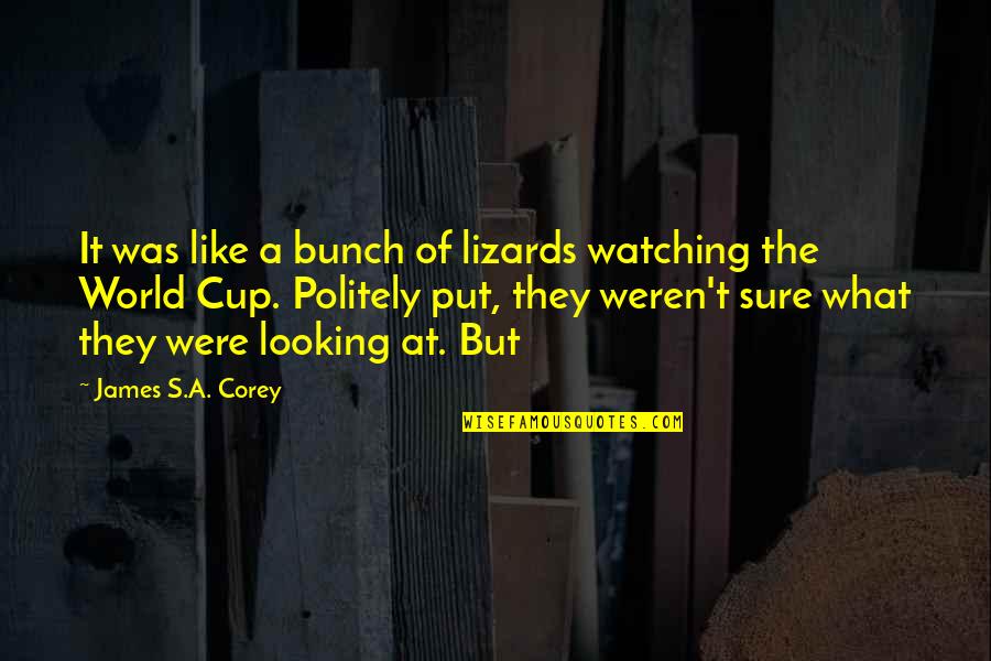 Looking At The World Quotes By James S.A. Corey: It was like a bunch of lizards watching Looking At The World Quotes By James S.A. Corey: It was like a bunch of lizards watching