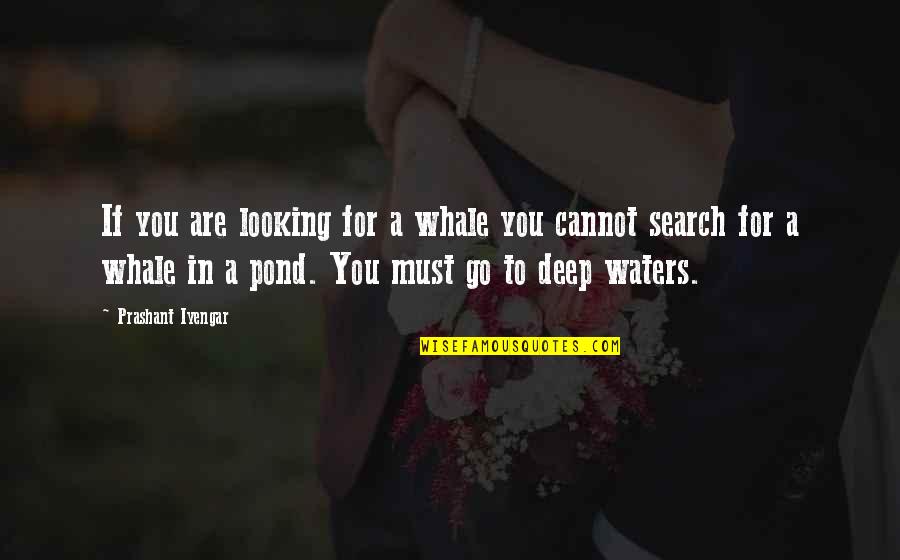 Looking At Water Quotes By Prashant Iyengar: If you are looking for a whale you Looking At Water Quotes By Prashant Iyengar: If you are looking for a whale you