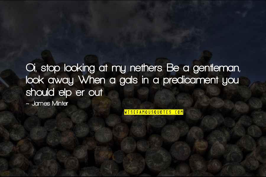 Looking Away Quotes By James Minter: Oi, stop looking at my nethers. Be a