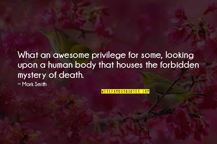 Looking Awesome Quotes By Mark Smith: What an awesome privilege for some, looking upon