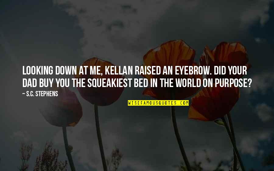 Looking Down On The World Quotes By S.C. Stephens: Looking down at me, Kellan raised an eyebrow.