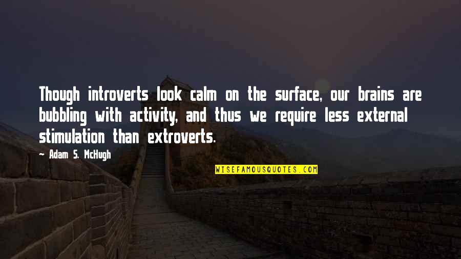 Looking For Alibrandi Tomato Day Quotes By Adam S. McHugh: Though introverts look calm on the surface, our