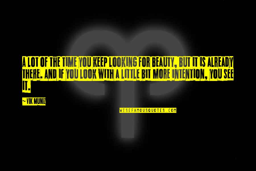Looking For Beauty Quotes By Vik Muniz: A lot of the time you keep looking