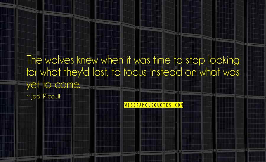 Looking For Inspirational Quotes By Jodi Picoult: The wolves knew when it was time to