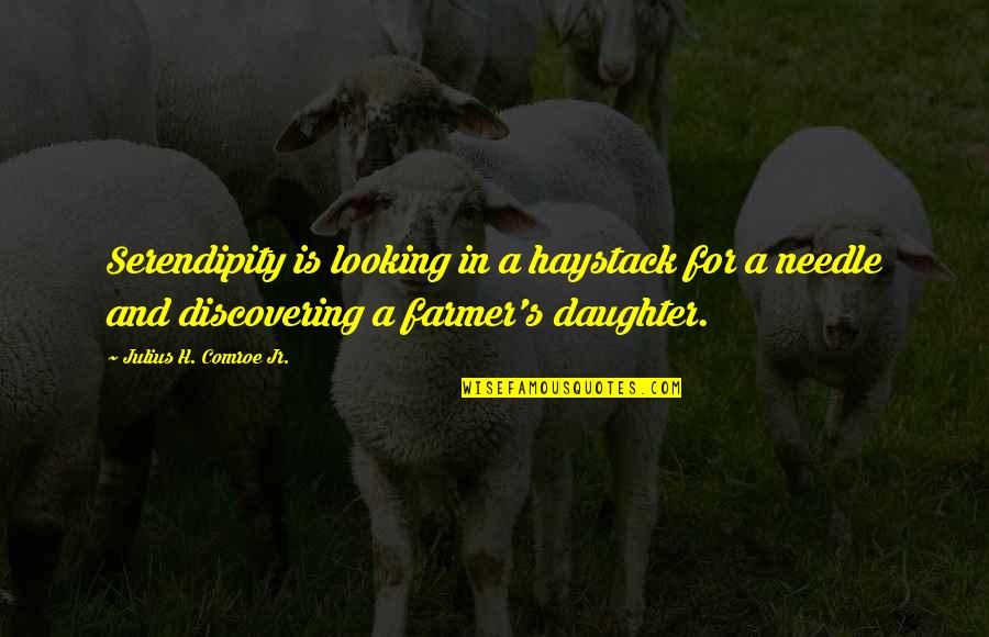 Looking For Inspirational Quotes By Julius H. Comroe Jr.: Serendipity is looking in a haystack for a Looking For Inspirational Quotes By Julius H. Comroe Jr.: Serendipity is looking in a haystack for a