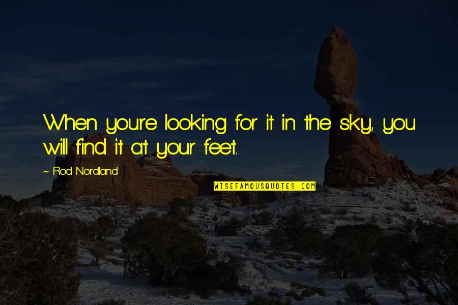 Looking For Inspirational Quotes By Rod Nordland: When you're looking for it in the sky,