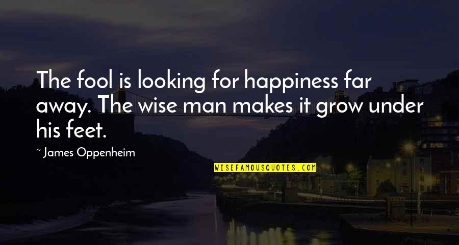 Looking For Wise Quotes By James Oppenheim: The fool is looking for happiness far away.