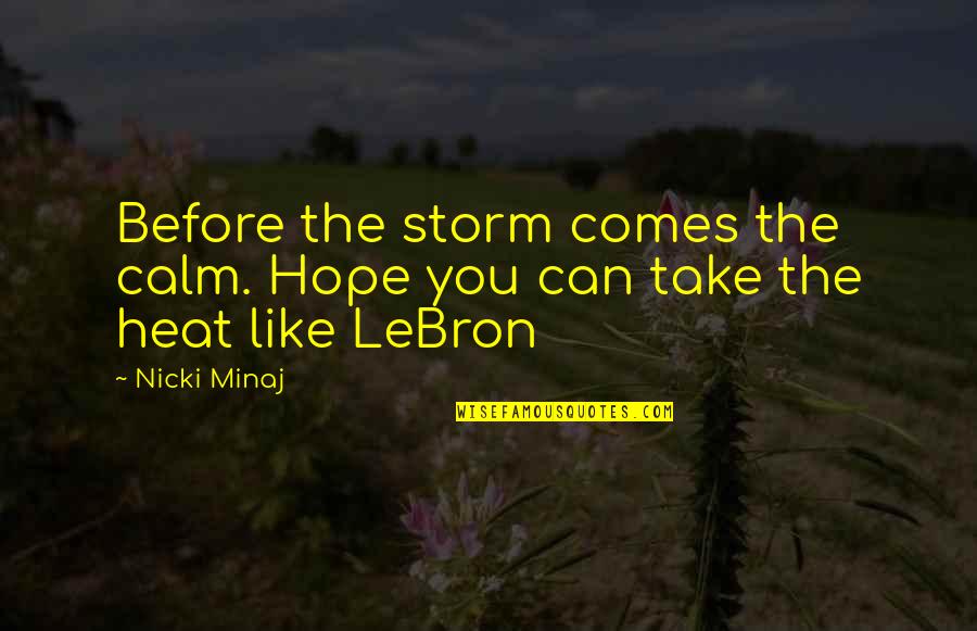 Looking Forward To A Better Future Quotes By Nicki Minaj: Before the storm comes the calm. Hope you