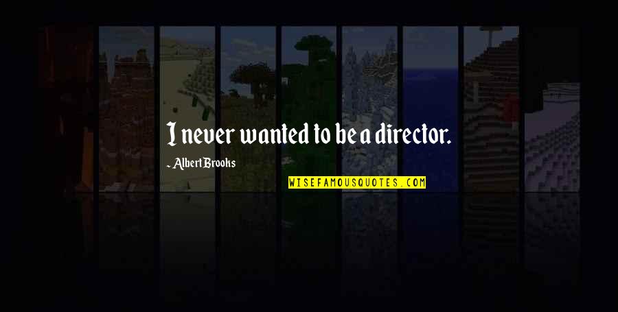 Looking Forward To Vacation Quotes By Albert Brooks: I never wanted to be a director.