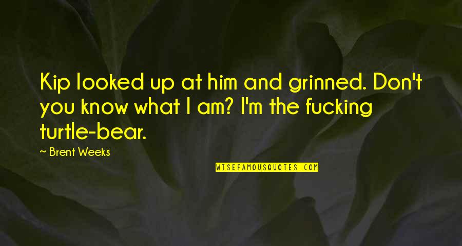Looking Forward To Wedding Quotes By Brent Weeks: Kip looked up at him and grinned. Don't
