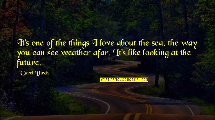 Looking From Afar Quotes By Carol Birch: It's one of the things I love about