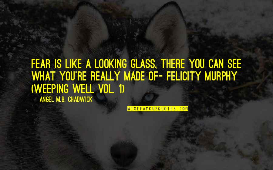 Looking Glass Quotes By Angel M.B. Chadwick: Fear is like a looking glass, there you