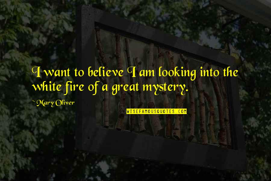 Looking Great Quotes By Mary Oliver: I want to believe I am looking into