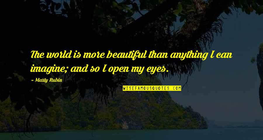 Looking Into Each Other's Eyes Quotes By Marty Rubin: The world is more beautiful than anything I