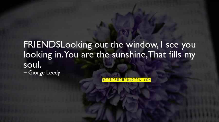 Looking Into Your Soul Quotes By Giorge Leedy: FRIENDSLooking out the window, I see you looking