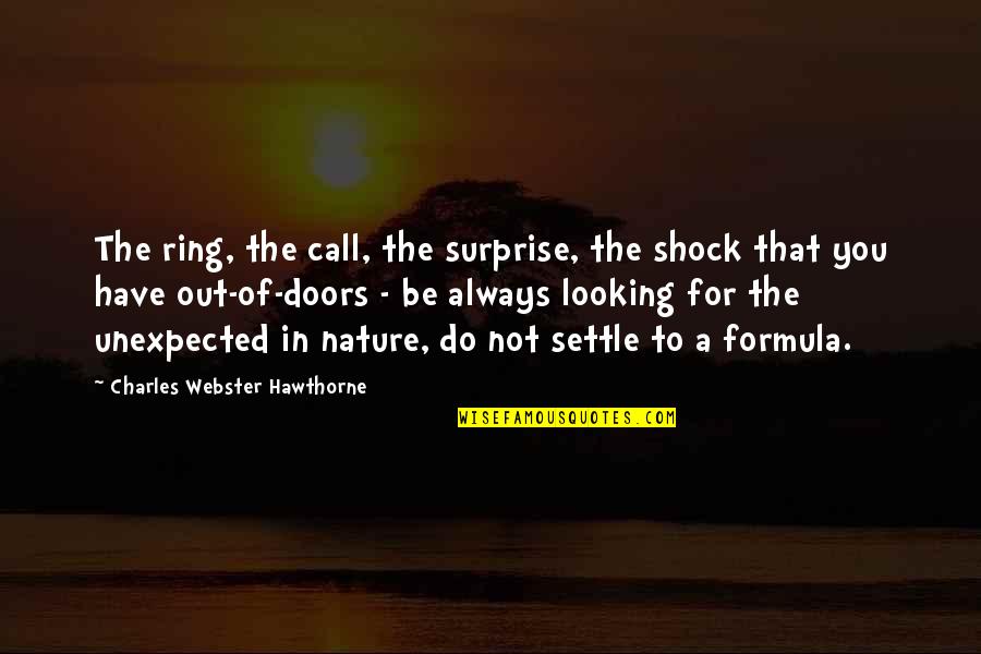 Looking Out For You Quotes By Charles Webster Hawthorne: The ring, the call, the surprise, the shock