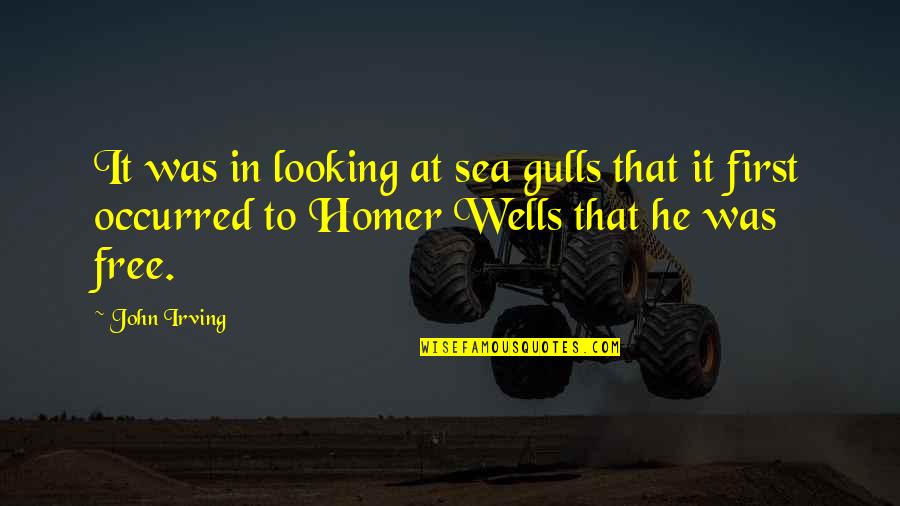 Looking Out To Sea Quotes By John Irving: It was in looking at sea gulls that Looking Out To Sea Quotes By John Irving: It was in looking at sea gulls that