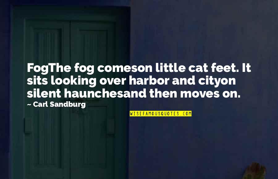Looking Over The City Quotes By Carl Sandburg: FogThe fog comeson little cat feet. It sits