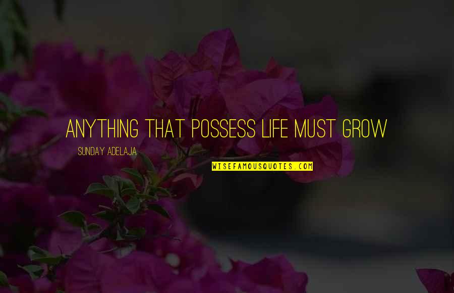 Looking Through Glass Quotes By Sunday Adelaja: Anything that possess life must grow