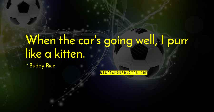 Looking Through Lenses Quotes By Buddy Rice: When the car's going well, I purr like Looking Through Lenses Quotes By Buddy Rice: When the car's going well, I purr like