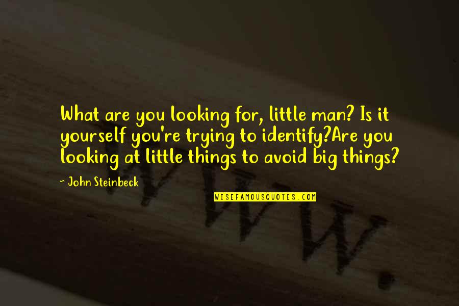 Looking To You Quotes By John Steinbeck: What are you looking for, little man? Is Looking To You Quotes By John Steinbeck: What are you looking for, little man? Is