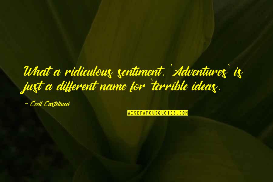 Looking Towards God Quotes By Cecil Castellucci: What a ridiculous sentiment. 'Adventures' is just a