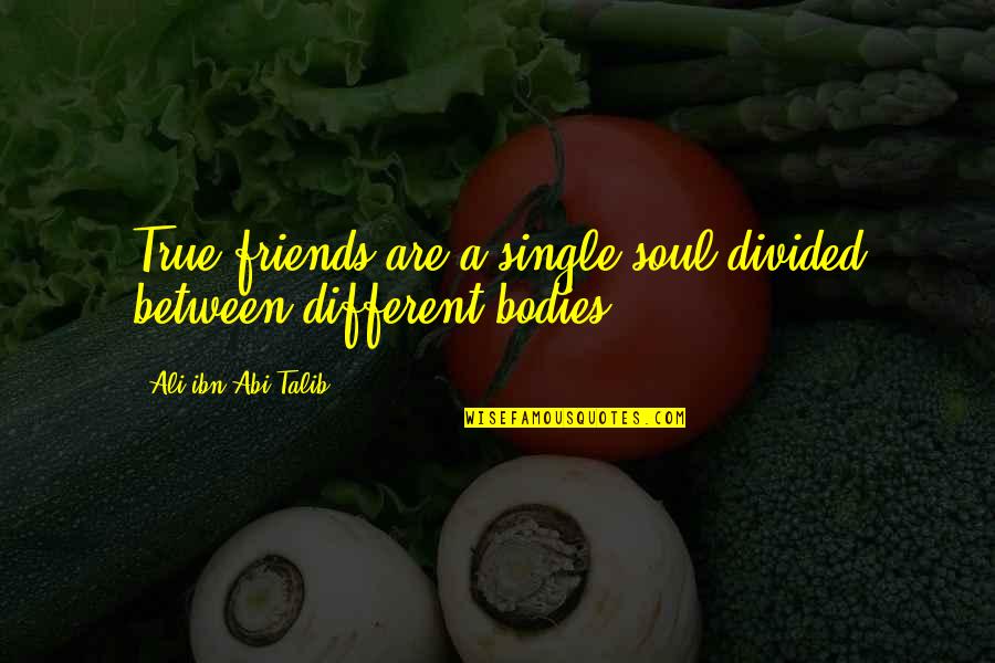Looknow Quotes By Ali Ibn Abi Talib: True friends are a single soul divided between