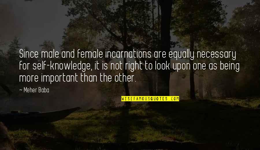 Looks Are Not Important Quotes By Meher Baba: Since male and female incarnations are equally necessary