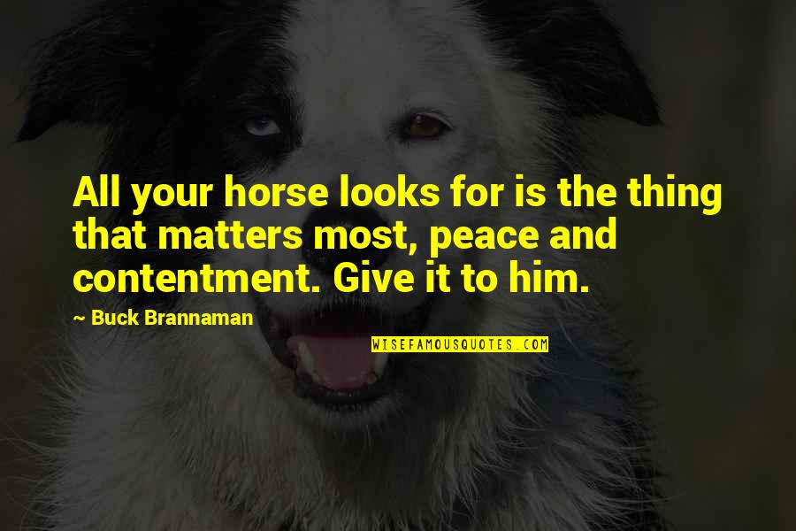 Looks Matters Quotes By Buck Brannaman: All your horse looks for is the thing