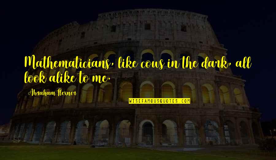 Looks To Me Quotes By Abraham Flexner: Mathematicians, like cows in the dark, all look Looks To Me Quotes By Abraham Flexner: Mathematicians, like cows in the dark, all look