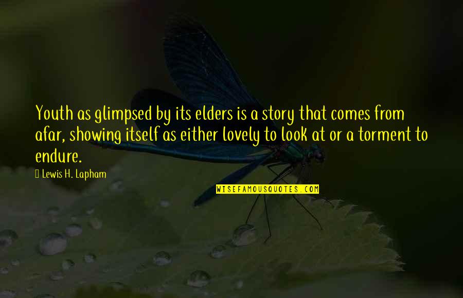 Looks To Quotes By Lewis H. Lapham: Youth as glimpsed by its elders is a Looks To Quotes By Lewis H. Lapham: Youth as glimpsed by its elders is a