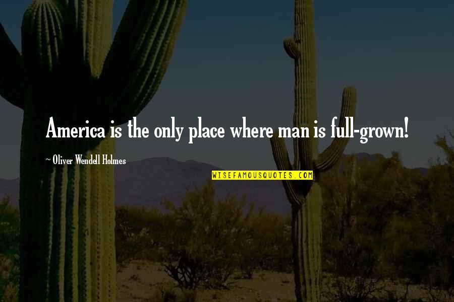 Lookup Movie Quotes By Oliver Wendell Holmes: America is the only place where man is
