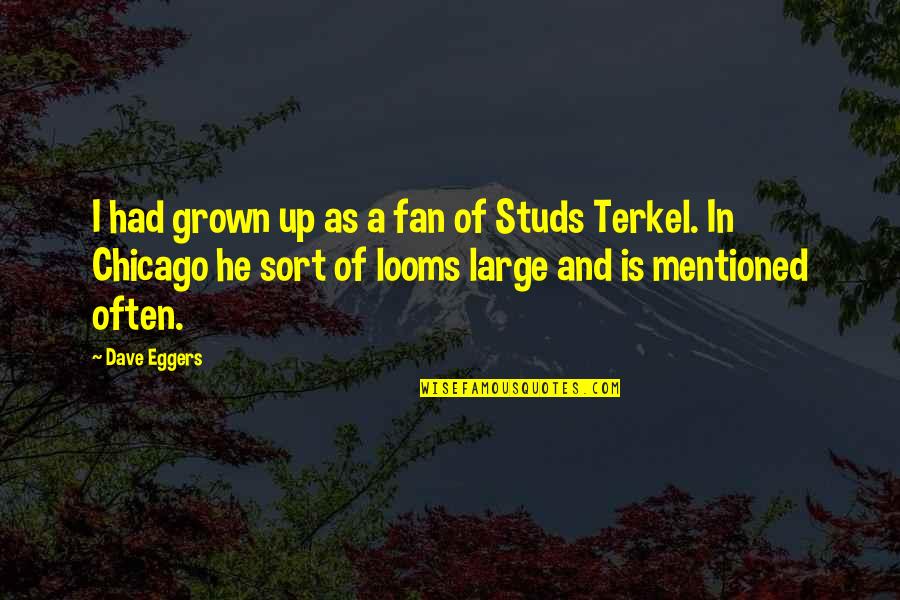Looms Quotes By Dave Eggers: I had grown up as a fan of