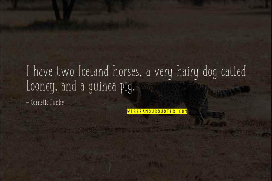 Looney Quotes By Cornelia Funke: I have two Iceland horses, a very hairy