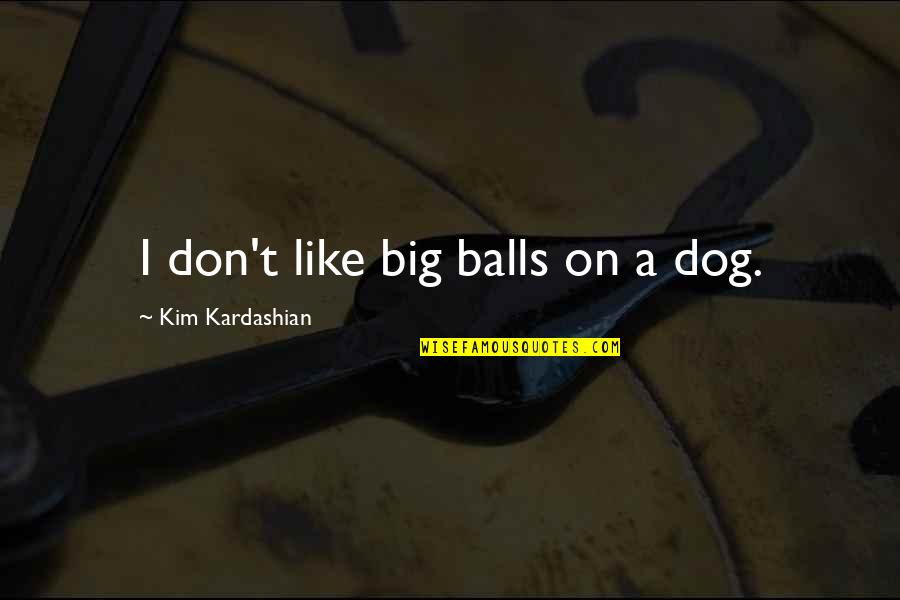 Looney Tunes Dash Quotes By Kim Kardashian: I don't like big balls on a dog. Looney Tunes Dash Quotes By Kim Kardashian: I don't like big balls on a dog.