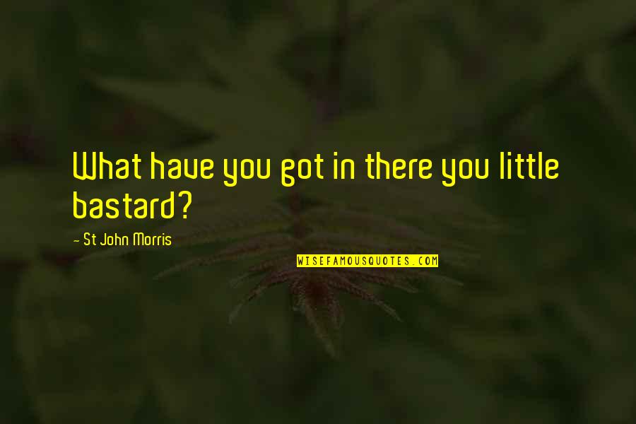Looniness Quotes By St John Morris: What have you got in there you little Looniness Quotes By St John Morris: What have you got in there you little