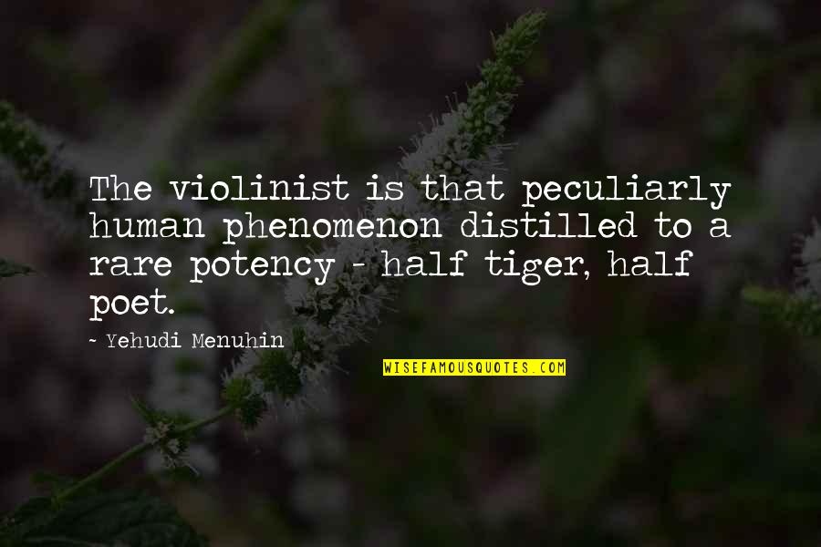Looptt Quotes By Yehudi Menuhin: The violinist is that peculiarly human phenomenon distilled