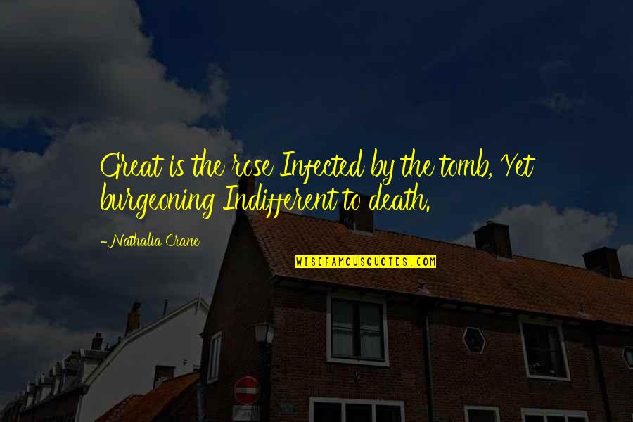 Loopy Yarn Quotes By Nathalia Crane: Great is the rose Infected by the tomb,