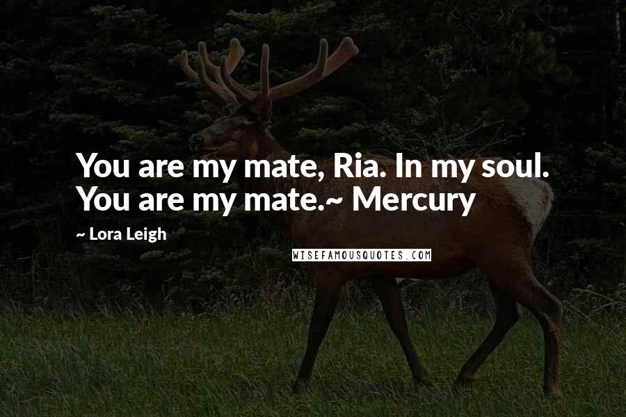 Lora Leigh quotes: You are my mate, Ria. In my soul. You are my mate.~ Mercury