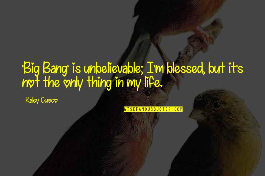 Lorax Movie Quotes By Kaley Cuoco: 'Big Bang' is unbelievable; I'm blessed, but it's