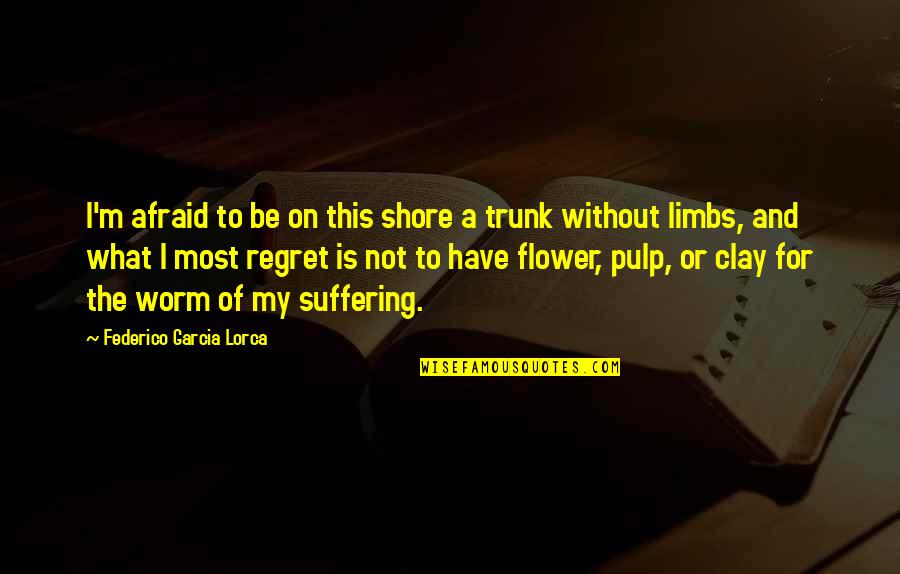 Lorca's Quotes By Federico Garcia Lorca: I'm afraid to be on this shore a