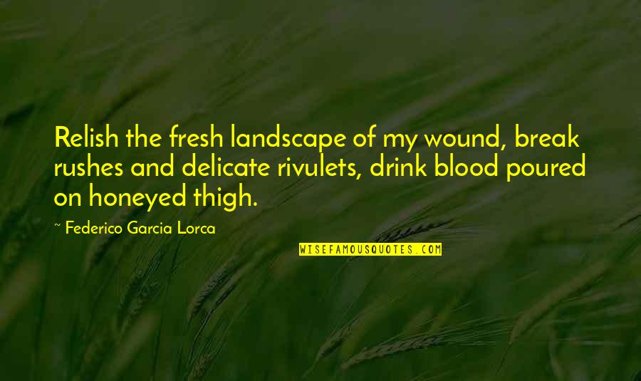 Lorca's Quotes By Federico Garcia Lorca: Relish the fresh landscape of my wound, break